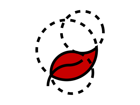 Pami - Circulair - Creëer